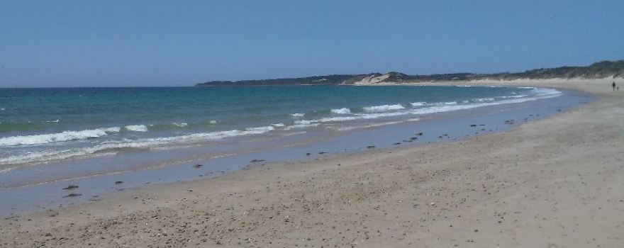 East Beach