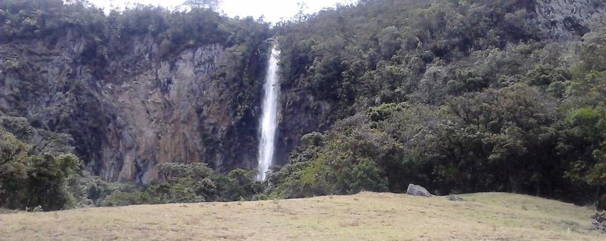 Sotara