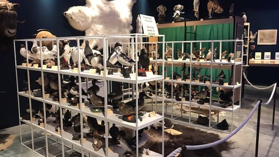 Nordurslod - Into the Arctic