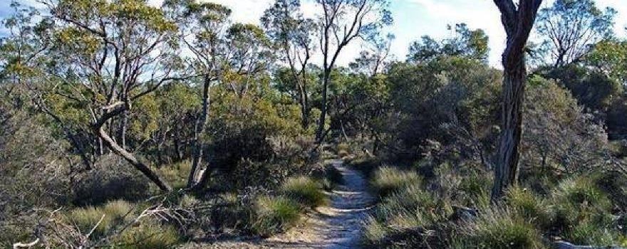 Pomponderoo Hill Lookout