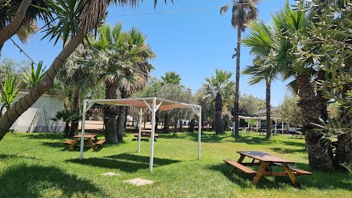 Camping Carratois