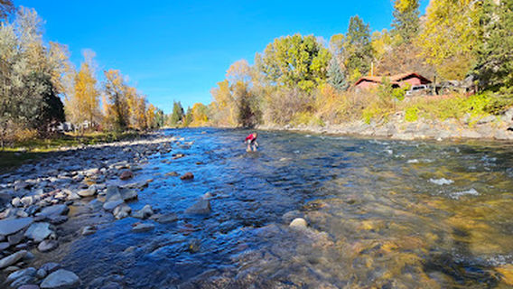 Carbondale / Crystal River KOA Holiday