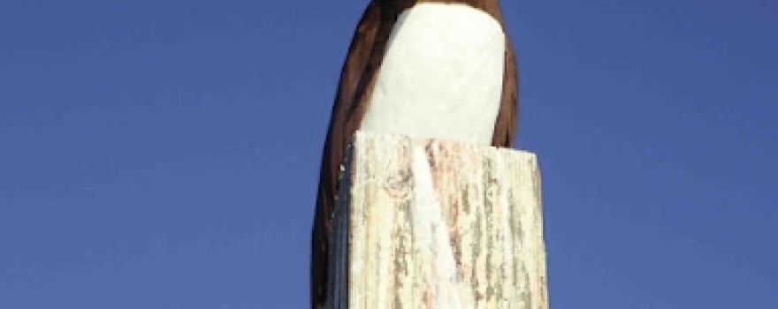 Baker Island National Wildlife Refuge