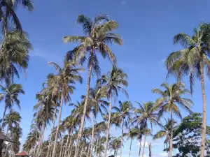 Ujung Genteng
