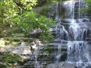 Taman Hutan Raya Pocut Meurah Intan
