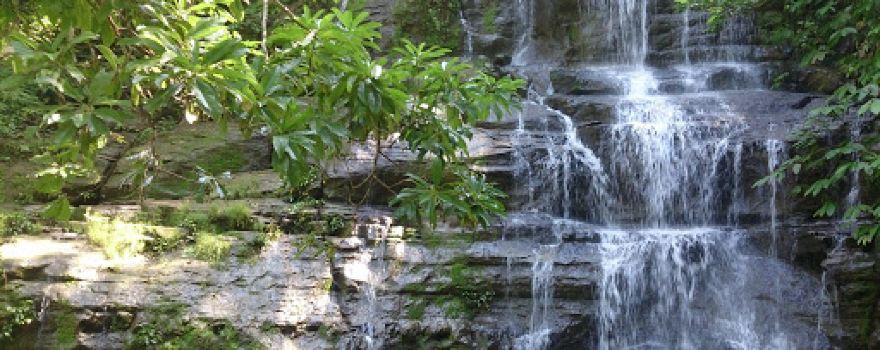 Taman Hutan Raya Pocut Meurah Intan