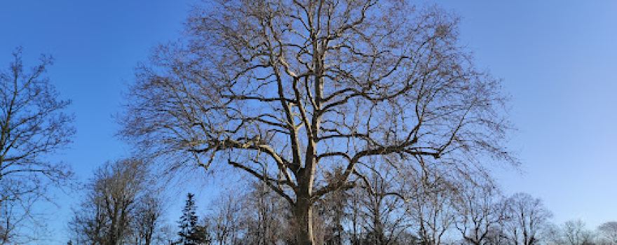 Parc Ladoucette