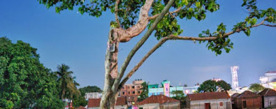 Dhunat Government N.U. Pilot High School Playground