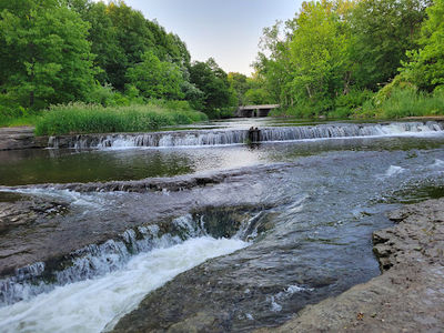 Des Plaines Dolomite Prairies Land And Water Reserve