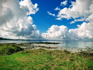 Rangiputa Beach
