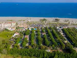 Camping Playa de Poniente