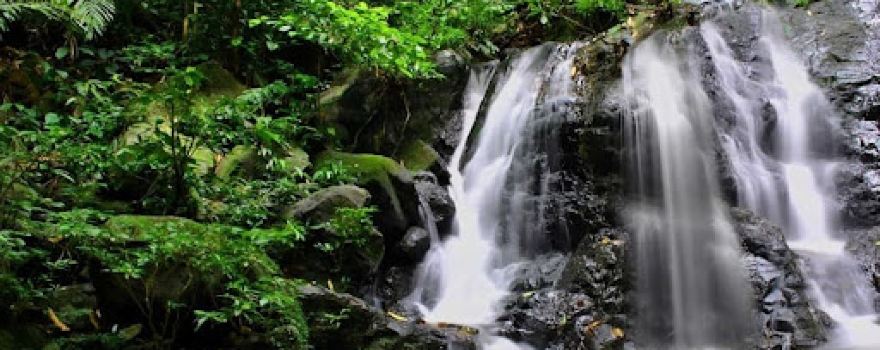 Rian Mountain Waterfall
