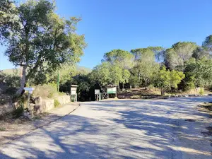 Complesso Forestale Settefratelli