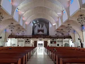 Metropolitan Cathedral of the Immaculate Conception