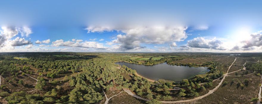 National Trust - Frensham Little Pond