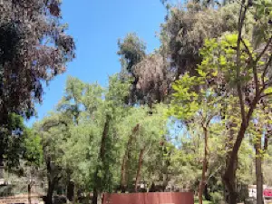 BERNARDO O'HIGGINS Park