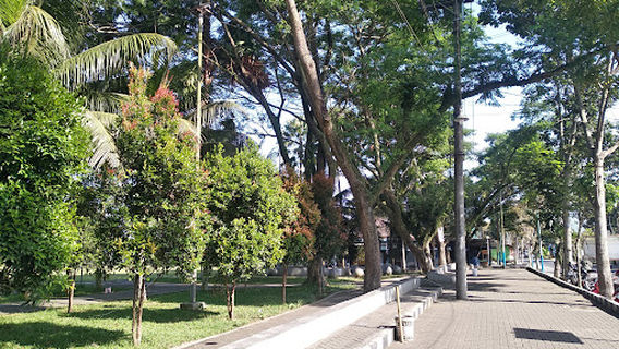 Glenmore Stadium RTH Karangharjo