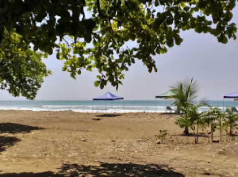 Costa Rica Surf Camp