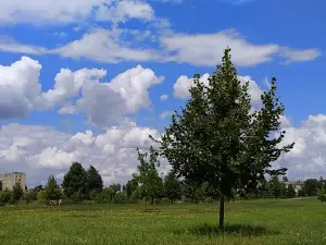Shevchenko Park