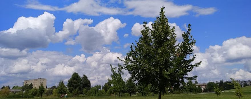 Shevchenko Park