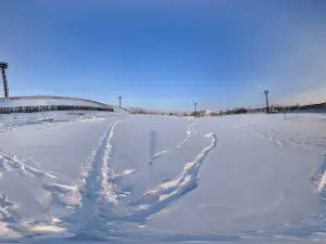 Avangard Stadium