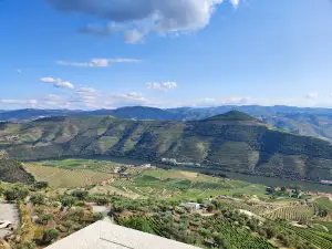 Double viewpoint De Loivos