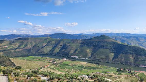 Double viewpoint De Loivos