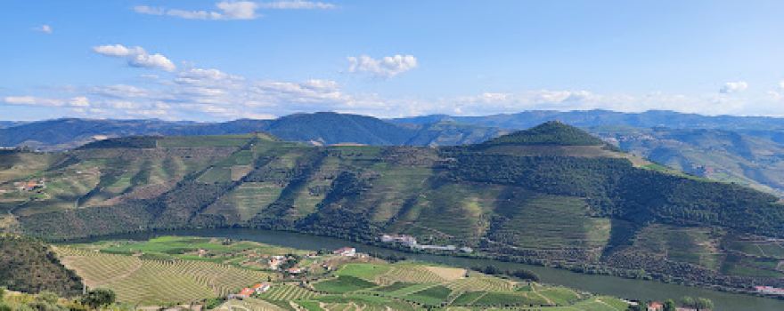 Double viewpoint De Loivos