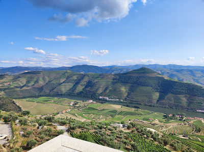 Double viewpoint De Loivos