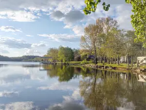 Shady Cove Resort, Marina & Campground LLC