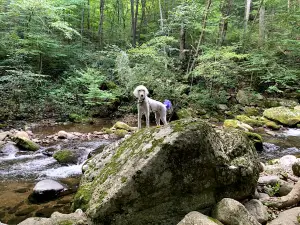 Crabtree Falls Campgrounds