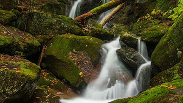 Townline Brook Trailhead