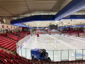 Young Arena