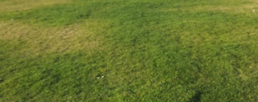 ESTÁDIO MUNICIPAL