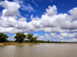 Vwaza Marsh Wildlife Reserve