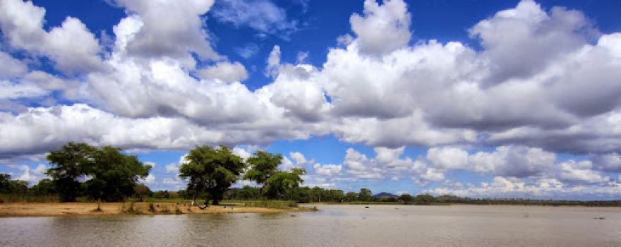 Vwaza Marsh Wildlife Reserve