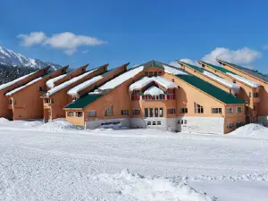 Indian Institute of Skiing & Mountaineering