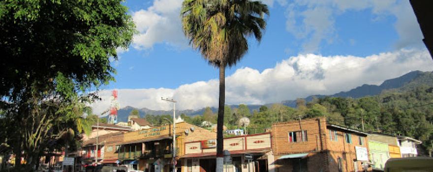 Parque Principal