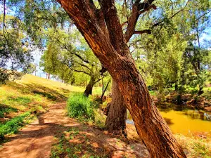 Rotary Park