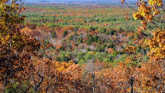 Mount Agamenticus Conservation Region