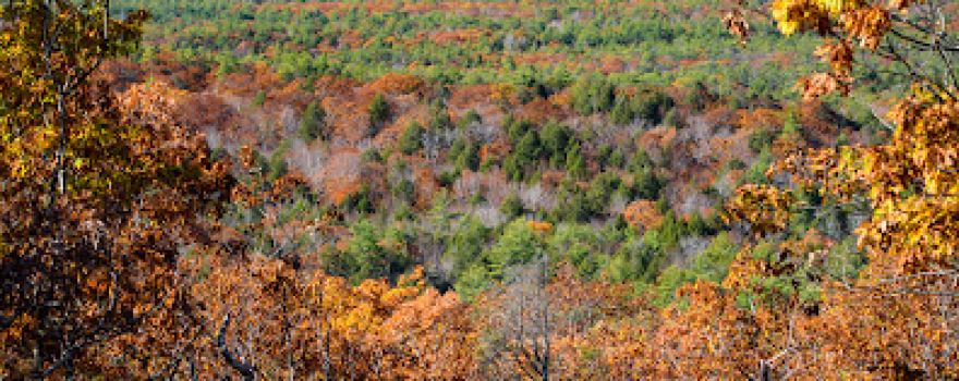 Mount Agamenticus Conservation Region