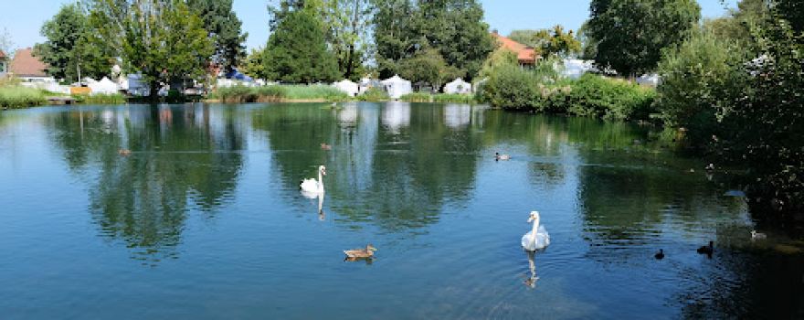 Kurpark Isny