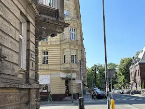 Kot Gacek
