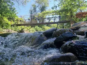 Uşuğumun Yeri - Kamp & Piknik & Mangal