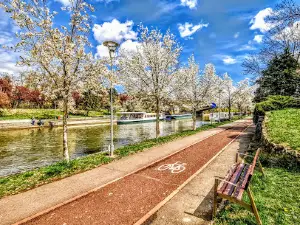 Canal Timiș-Bega