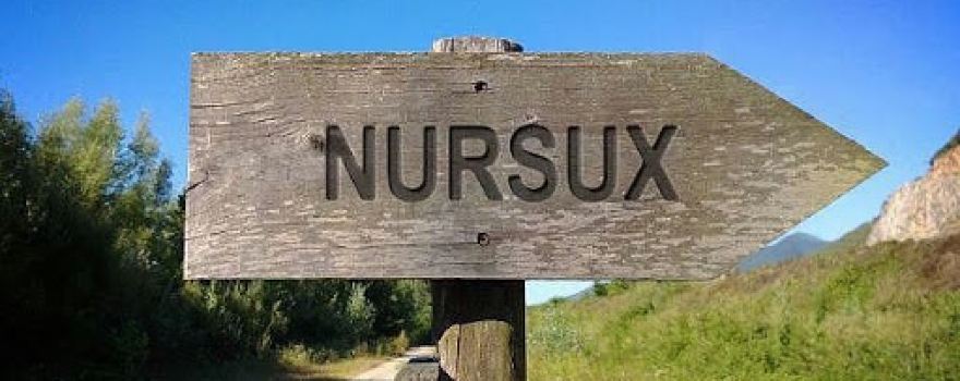Tsentr Goroda Nursukh
