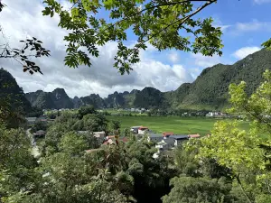 Panorama walking track