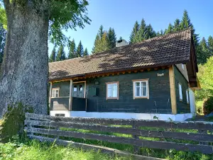 Rejvíz