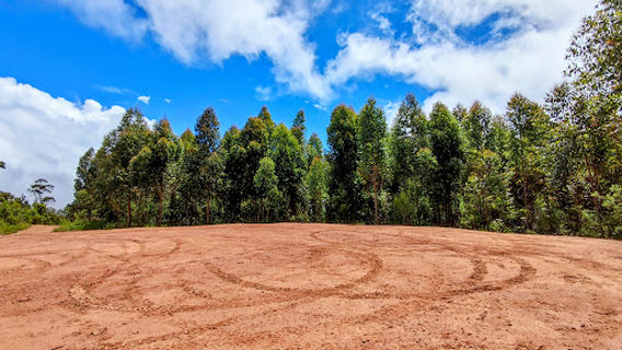 JC Passeios de Quadriciclo em Monte Verde