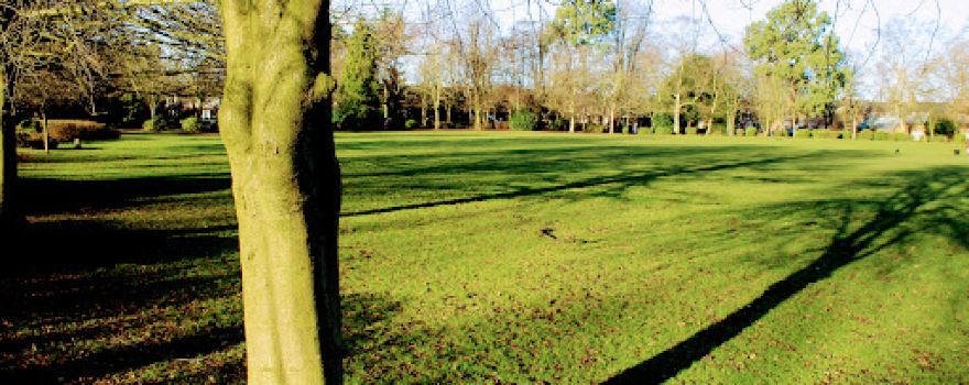 Stamford Park